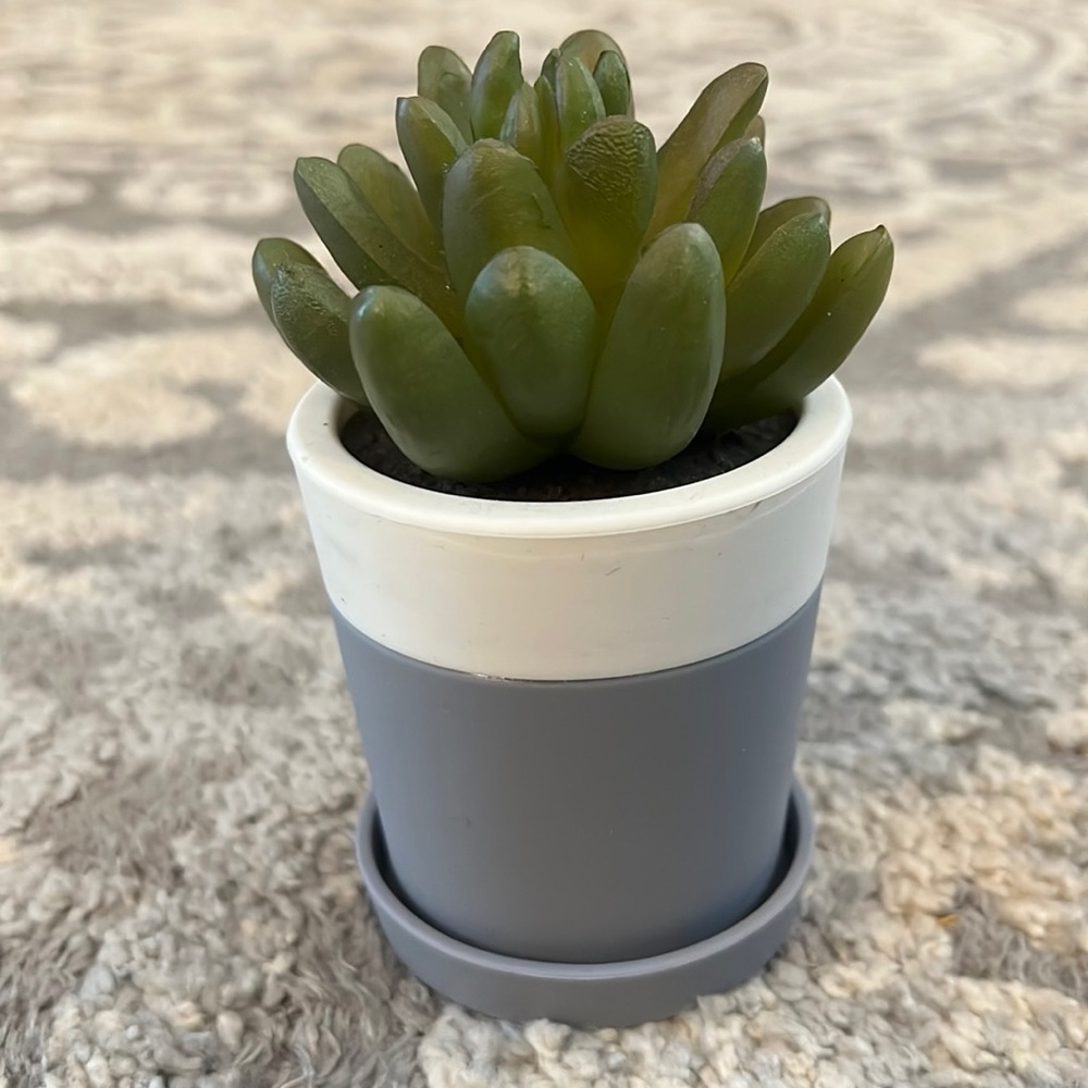 Bath & Body Works desktop faux succulent Pocketbac holder, EUC!